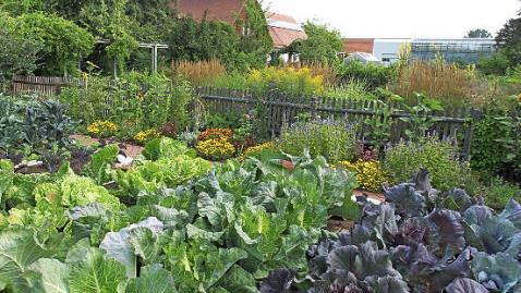 An der Bayerischen Landesanstalt f&uuml;r Weinbau und Gartenbau (LWG) in Bamberg werden &ouml;ffentliche F&uuml;hrungen angeboten.  Foto: LWG