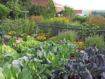 An der Bayerischen Landesanstalt f&uuml;r Weinbau und Gartenbau (LWG) in Bamberg werden &ouml;ffentliche F&uuml;hrungen angeboten.  Foto: LWG