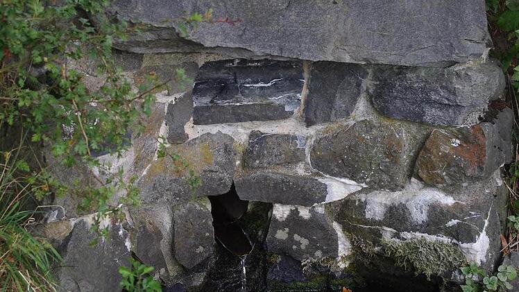 Das Petersbrünnlein neben der Peterskapelle könnte eine Taufquelle gewesen sein, der man besondere Heilswirkung zusprach. Ein Bürger aus Marienroth hat das Wasser in einem Labor in Schleißheim untersuchen lassen. Dort wurde eine besonders gute Qualität bestätigt - unter anderem ein hoher Anteil an wichtigen Mineralien.   Fotos: Heike Schülein