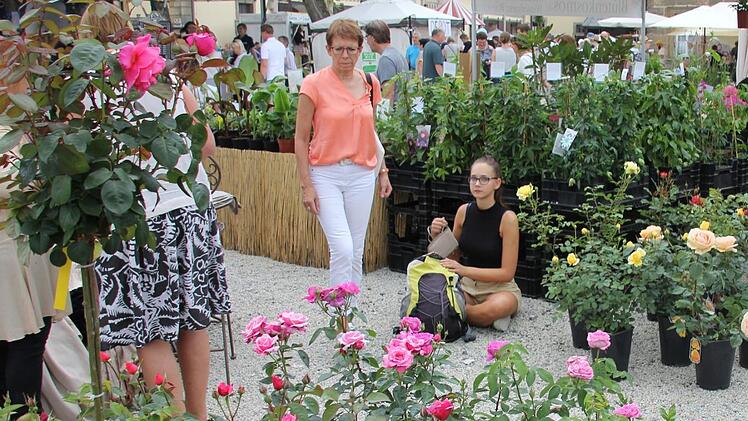 Blumenkind oder Rosenkönigin?