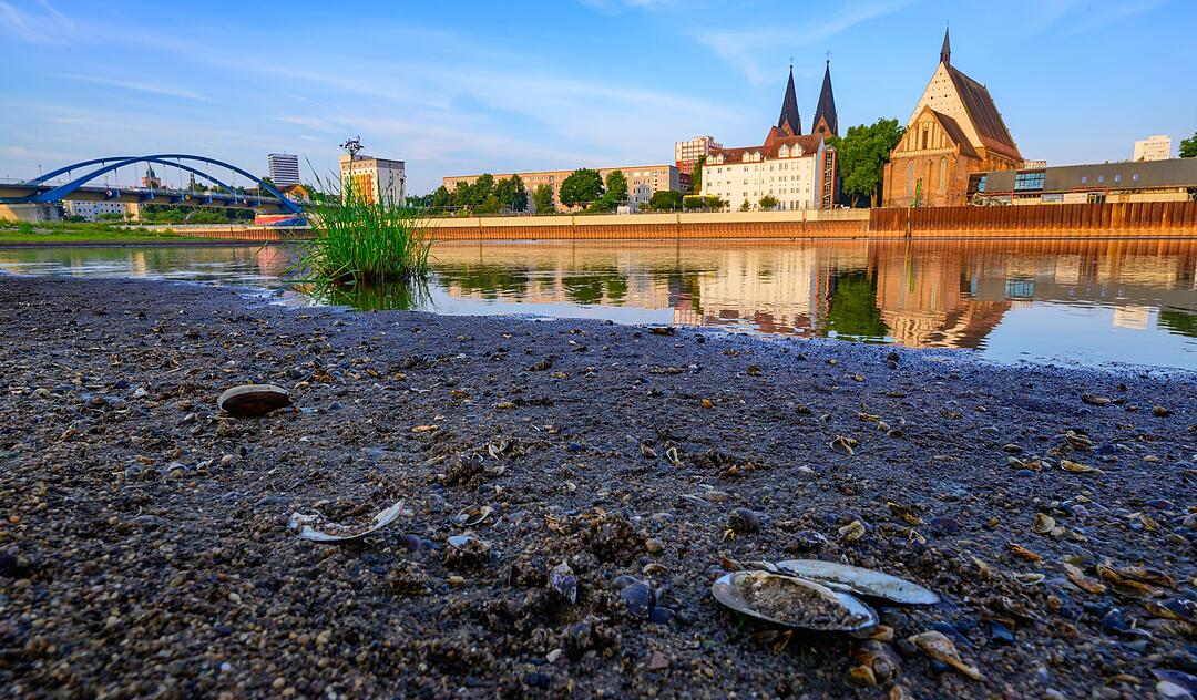Niedrigwasser am deutsch-polnischen Grenzfluss Oder