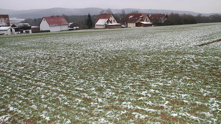 Im Spätsommer könnten interessierte Häuslebauer den Traum vom eigenen Haus realisieren. Foto: Gerda Völk