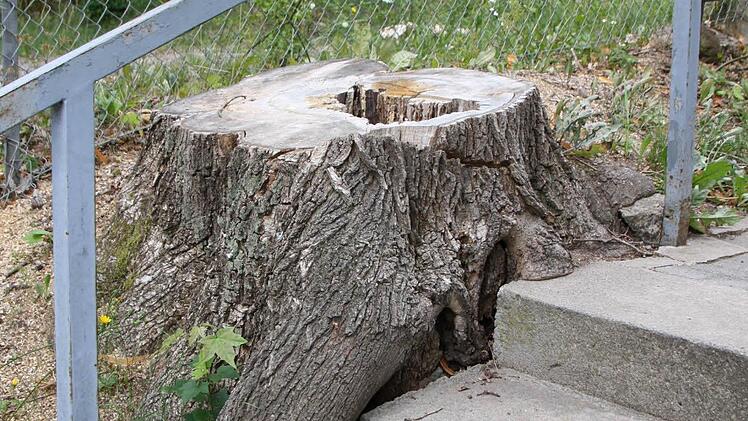 Im Februar wurden dort bereits Bäume gefällt, vergangenen Woche wurde der Neubau gekippt, seit heute ist die Treppe gesperrt. Fotos: Ralf Ruppert
