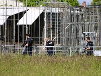 Polizei erschie&szlig;t entlaufenen Tiger bei Leipzig