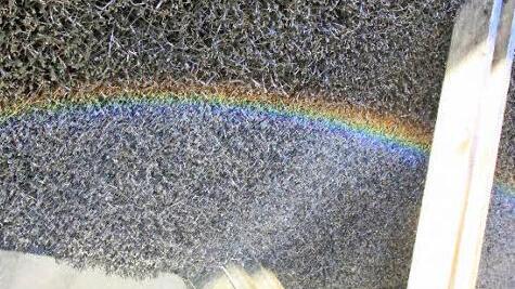 Auf den Schwarzdornwänden bilden sich schillernde Regenbogen.