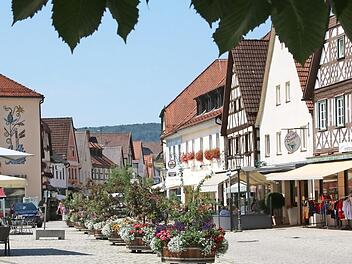 "Ebermannstadt ist schön und steht gut da", bestätigte der Geschäftsführer des Bayerischen Städtetages, Bernd Buckenhofer.  Foto: J. Hofbauer
