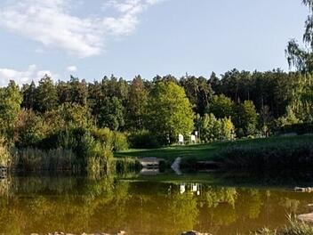 Blaualgen im Badesee Trabelsdorf: Warnung ausgesprochen