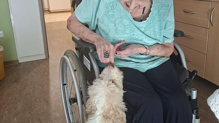 H&uuml;ndin Frieda stattet Senioren und Seniorinnen Besuch ab.