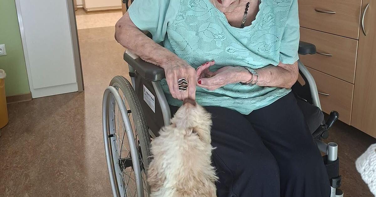 Zeil: Seniorenheim bekommt Besuch von süßem Hund - 'weckt Erinnerungen'