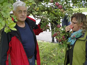 Die alten Apfelsorten haben die Trockenperiode relativ gut überstanden, wie Edwin Fella (links) und die Vorsitzende des Obst- und Gartenbauvereins Untererthal, Inge Schipper-Telger (rechts), versichern. Fotos: Winfried Ehling