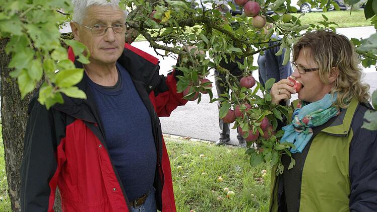 Die alten Apfelsorten haben die Trockenperiode relativ gut überstanden, wie Edwin Fella (links) und die Vorsitzende des Obst- und Gartenbauvereins Untererthal, Inge Schipper-Telger (rechts), versichern. Fotos: Winfried Ehling