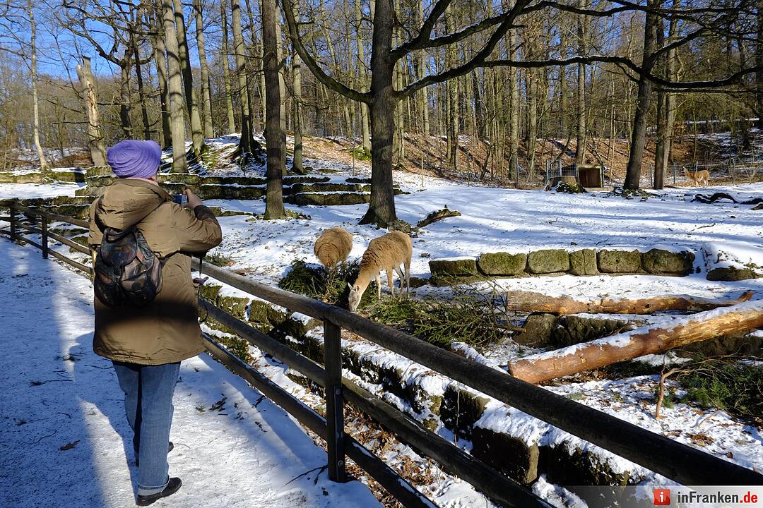 Tiergarten Nürnberg im Winter