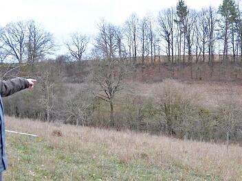 Frank Reißenweber zeigt auf die Fläche am gegenüberliegenden Hang, die jetzt für das Naturschutzgroßprojekt "Das Grüne Band" angekauft wurde. Fotos: Rainer Lutz
