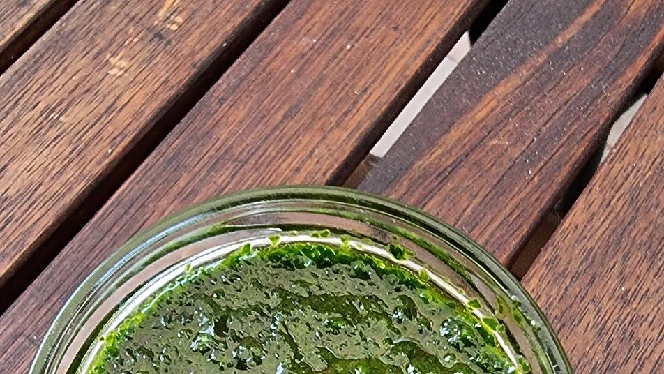 B&auml;rlauch Pesto