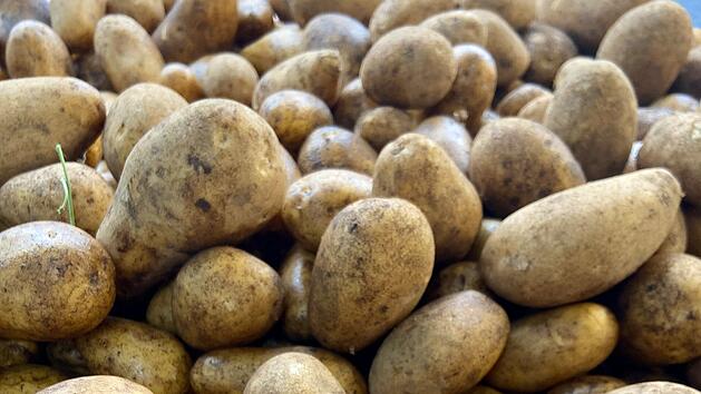 Coburg: Kartoffel beim Wochenmarkt im Fokus - Landwirt*innen zeigen Saat und Ernte