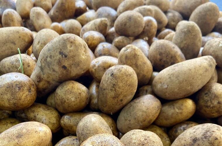 Coburg: Großer Kartoffelmarkt steht vor der Tür - das erwartet die Besucher