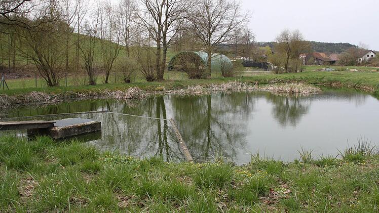 Die Zeublitzer Teichkläranlage (unser Bild) hat ausgedient und wird durch eine moderne Kleinkläranlage ersetzt.  Foto: Stephan Stöckel
