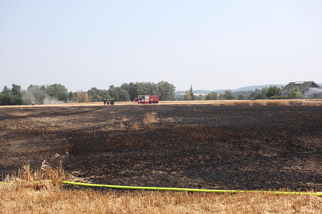 Feldbrand drohte auf Wohngebiet überzugreifen