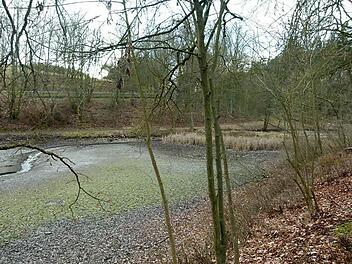 Dieses Nadelöhr am Schützenteich im Bereich Weichengereuth stellt eine Herausforderung für das Hochwasserschutzkonzept dar.  Foto: Lothar Weidner