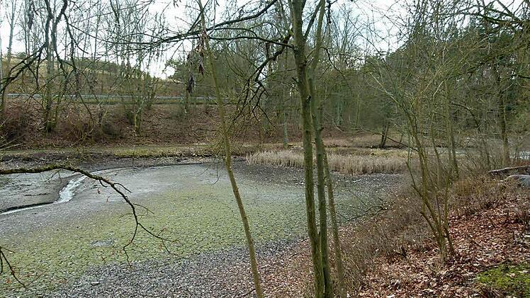 Dieses Nadelöhr am Schützenteich im Bereich Weichengereuth stellt eine Herausforderung für das Hochwasserschutzkonzept dar.  Foto: Lothar Weidner