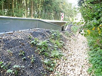 Fest installierte Stahlprofile leiten die Kröten zu den Durchlässen unter der Kreisstraße. Foto: Renate Neubecker