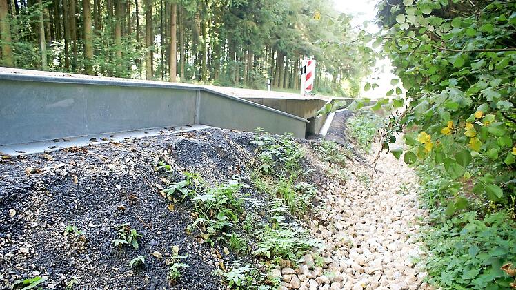 Fest installierte Stahlprofile leiten die Kröten zu den Durchlässen unter der Kreisstraße. Foto: Renate Neubecker