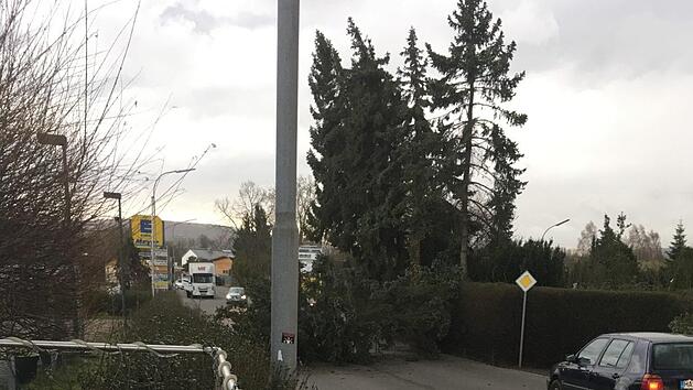 In der Unteren Stra&szlig;e in Zeil st&uuml;rzten  B&auml;ume auf die Fahrbahn, die Verkehrsteilnehmer konnten aber rechzeitig anhalten, wie dieses Bild zeigt. Es wurde aufgenommen von Nguyen Dieu Linh, die gleich nebenan ein Restaurant betreibt und alles beobachten konnte.