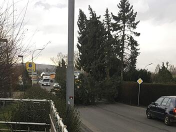 In der Unteren Straße in Zeil stürzten  Bäume auf die Fahrbahn, die Verkehrsteilnehmer konnten aber rechzeitig anhalten, wie dieses Bild zeigt. Es wurde aufgenommen von Nguyen Dieu Linh, die gleich nebenan ein Restaurant betreibt und alles beobachten konnte.