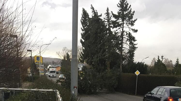 In der Unteren Straße in Zeil stürzten  Bäume auf die Fahrbahn, die Verkehrsteilnehmer konnten aber rechzeitig anhalten, wie dieses Bild zeigt. Es wurde aufgenommen von Nguyen Dieu Linh, die gleich nebenan ein Restaurant betreibt und alles beobachten konnte.