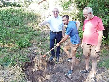 Maximilian Raimund (Mitte), Bezirksvorsitzender der Landjugend Oberfranken, pflanzte zusammen mit Dorfsprecher Fred Sadel (rechts) und Bürgermeister Harald Hübner eine Linde. Foto: Horst Wunner