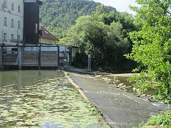 Das Wasserwirtschaftsamt verlegt die Bootsanlegestelle auf der Saaleinsel Elfershausen. Der Zutritt zum Wehr (Foto) ist nicht gestattet.