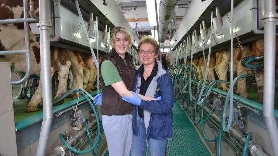 Im Melkstall: Martina Rauscher wird von Tochter Ramona unterstützt. Ramona ist Ärztin, die andere Tochter Judith Fremdsprachenkorrespondentin. Foto: Gabi Bertram