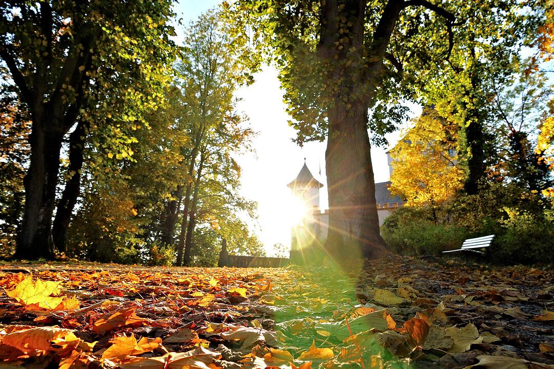 Herbst bei Schloss Greifenstein