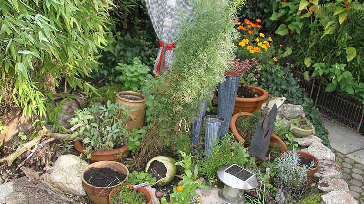 Im Kräutergarten der Familie Strunz duftet es aromatisch.