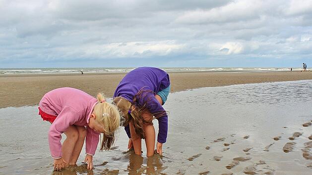 Ausfl&uuml;ge in Deutschland: Diese 16 Nationalparks solltest du kennen&nbsp;