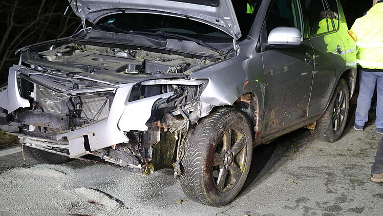 14 tote Schafe bei Unfall bei Dietenhofen: Auto erfasst Herde