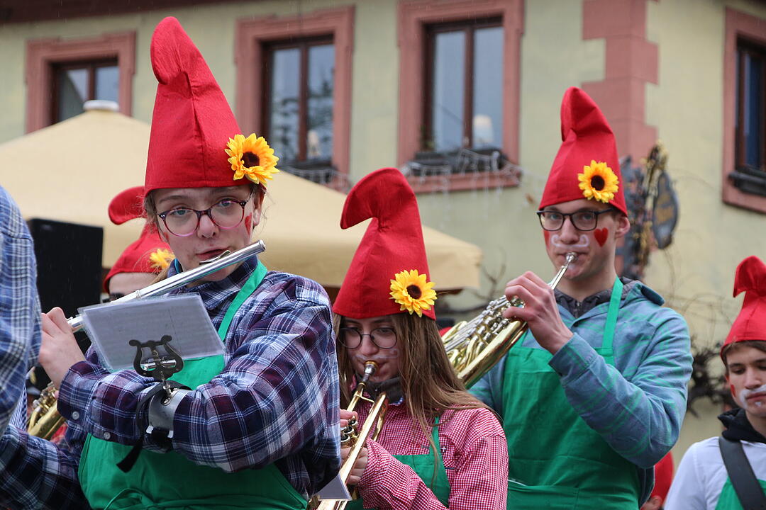 Kreisfaschingsumzug 2020