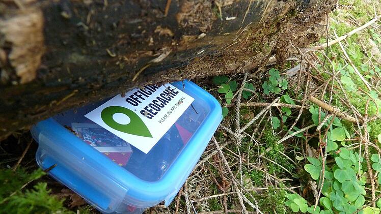Geocache-Box versteckt im Wald.