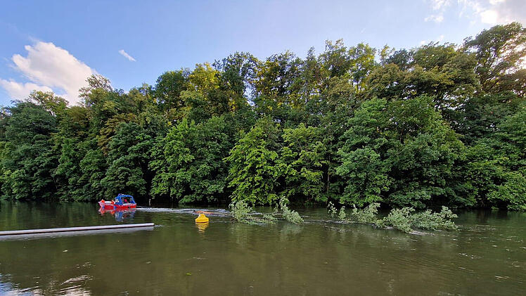 Bamberg: Feuerwehreinsatz oberhalb der Hainbadestelle - Einsatzkräfte müssen Baum sichern
