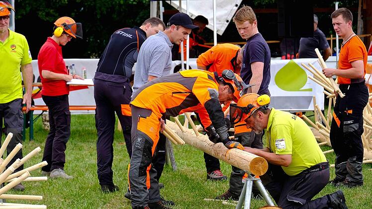 Es war viel geboten zu den Themen Holz und Wald. Foto: Gerd Schaar