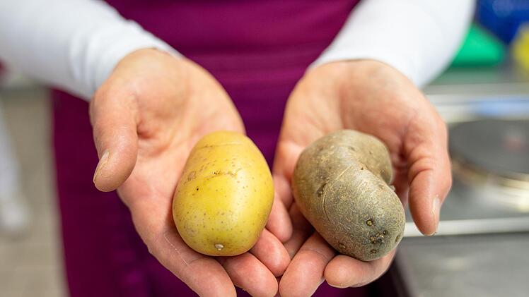Eine normale und eine grüne Kartoffel.