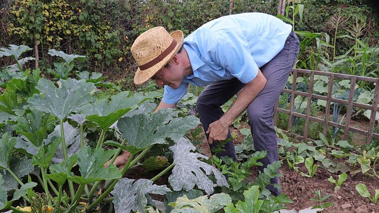Die Zucchini sind reif: Holger Willms freut sich über reiche Ernte.