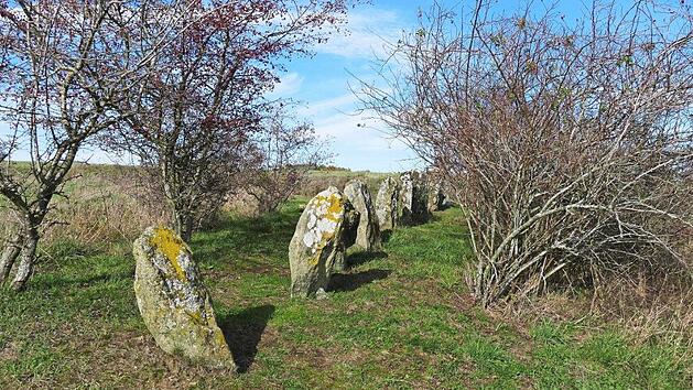 Die rätselhaften "Apostelsteine" auf der Passhöhe westlich von Langenbach Foto: Alexander Grahl