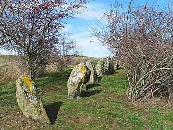 Die r&auml;tselhaften "Apostelsteine" auf der Passh&ouml;he westlich von Langenbach Foto: Alexander Grahl
