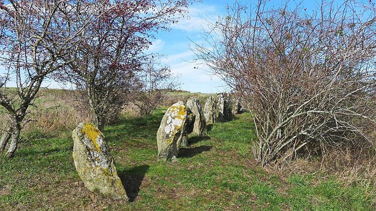 Die rätselhaften "Apostelsteine" auf der Passhöhe westlich von Langenbach Foto: Alexander Grahl