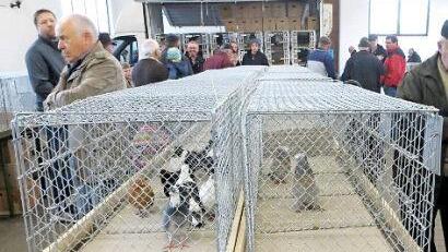 Am Ostermontag eine beliebte Adresse: die Geflügelhalle