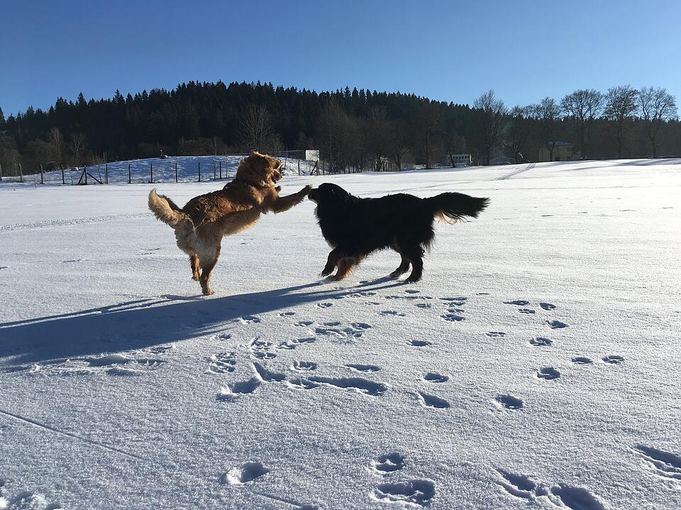 Die schönsten Frühlingsfotos aus Coburg und Umgebung