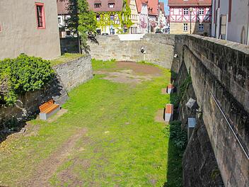 Der Pfalzifant soll ungefähr in die Ecke unterhalb des fehlenden Mauerstückes kommen. Foto: Franziska Rieger
