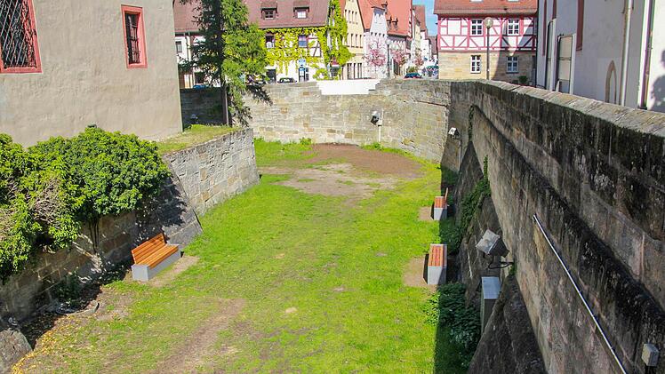 Der Pfalzifant soll ungefähr in die Ecke unterhalb des fehlenden Mauerstückes kommen. Foto: Franziska Rieger