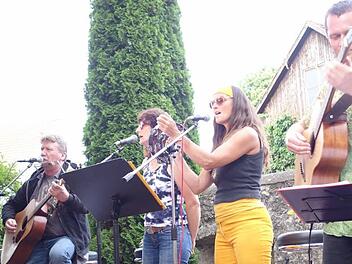 Matt's Friends spielten und sagen beim "Sommer im Hof" abwechselnd mit der Band "Midlife Special" in Münnerstadt. Foto: Heike Beudert